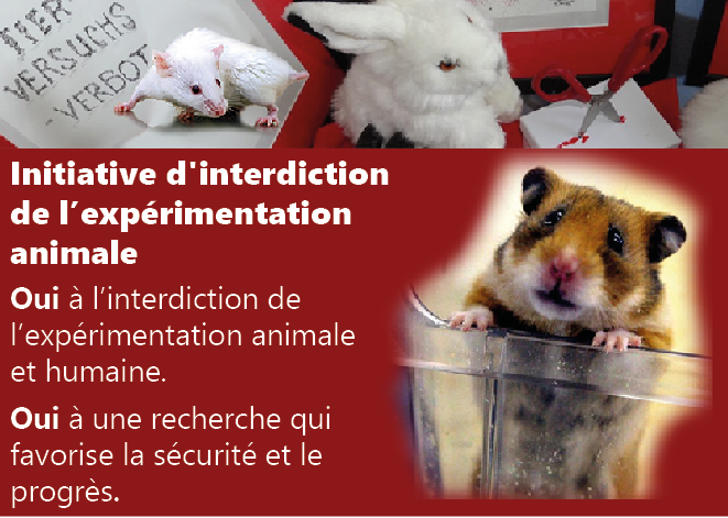 Image «Ja zum Tier- und Menschenversuchsverbot – Ja zu Forschungswegen mit Impulsen für Sicherheit und Fortschritt»