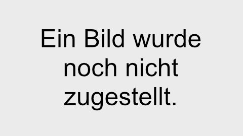 Ein Bild wurde noch nicht zugestellt