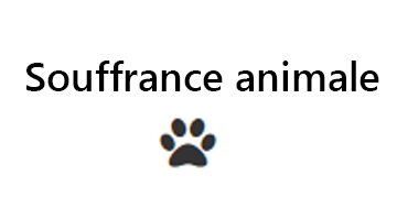 Souffrance animale